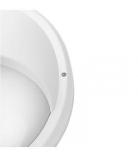 Miidex - 400010 - 3701124428509