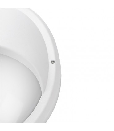 Miidex - 400010 - 3701124428509