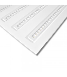 Miidex - 100448 - 3701124429612