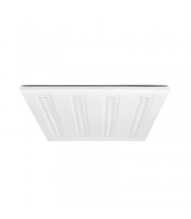 Miidex - 100448 - 3701124429612