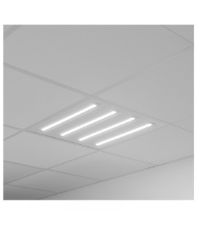 Miidex - 100448 - 3701124429612