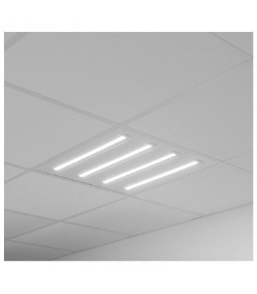 Miidex - 100448 - 3701124429612