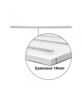 Miidex - 100448 - 3701124429612