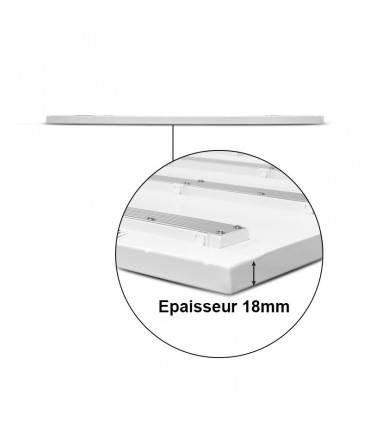 Miidex - 100448 - 3701124429612