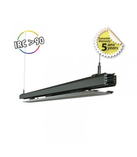 Miidex - 100692 - 3701124435118