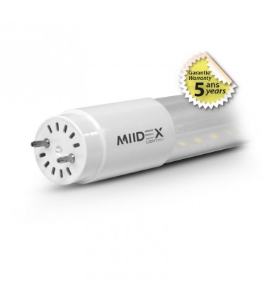 Miidex - 100535 - 3701124433671