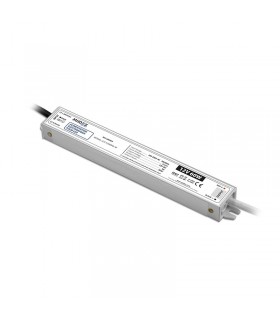 Miidex - 100469 - 3701124432766