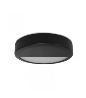 Miidex - 100492 - 3701124433084