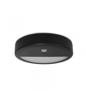 Miidex - 100494 - 3701124433107