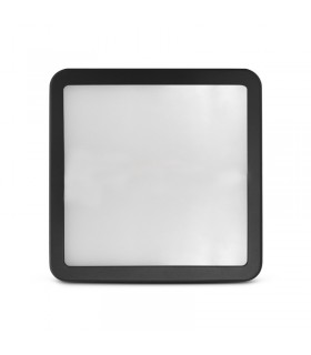 Miidex - 100497 - 3701124433138