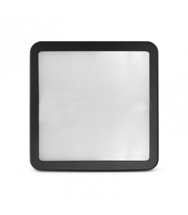 Miidex - 100497 - 3701124433138