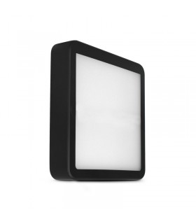 Miidex - 100497 - 3701124433138