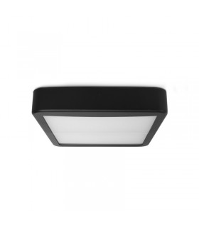 Miidex - 100497 - 3701124433138