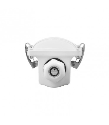 Miidex - 100362 - 3701124431868