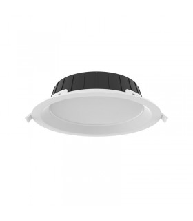 Miidex - 100658 - 3701124434708