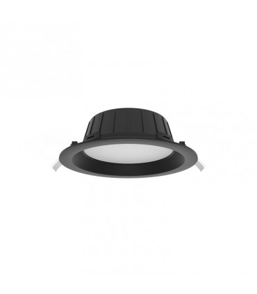 Miidex - 100665 - 3701124434777