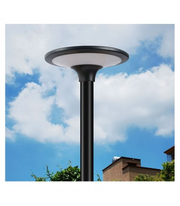 Miidex - 100618 - 3701124434357