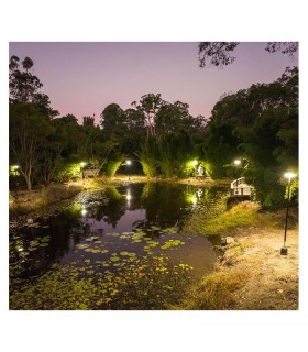 Miidex - 100618 - 3701124434357