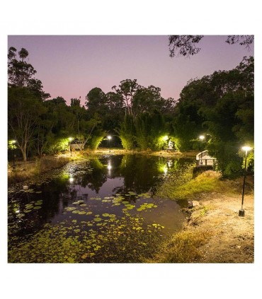 Miidex - 100618 - 3701124434357