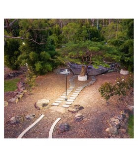 Miidex - 100618 - 3701124434357