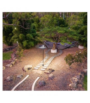 Miidex - 100618 - 3701124434357