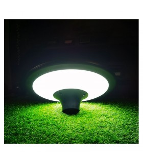 Miidex - 100618 - 3701124434357