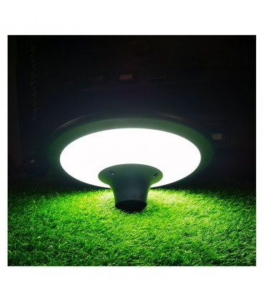 Miidex - 100618 - 3701124434357