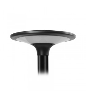 Miidex - 100618 - 3701124434357