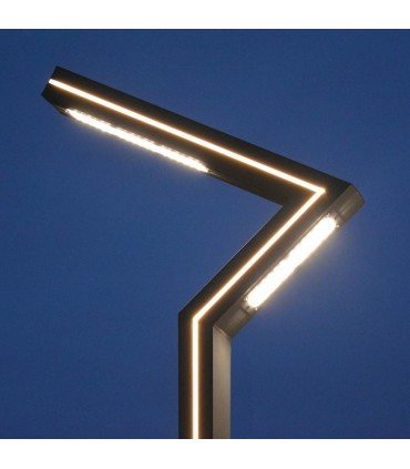 Miidex - 91041 - 3701124433435