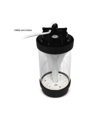 Miidex - 100391 - 3701124432193