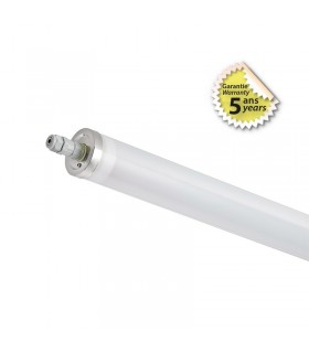 Miidex - 400045 - 3701124428851