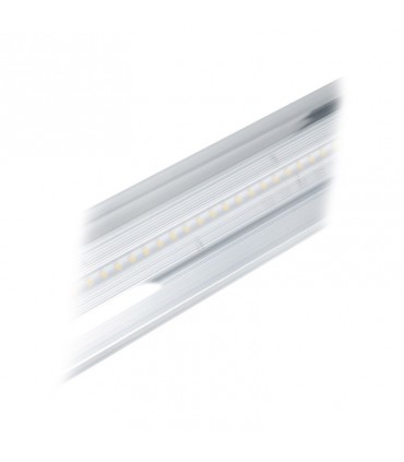 Miidex - 400049 - 3701124428899