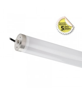 Miidex - 400050 - 3701124428905