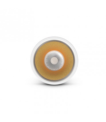 Miidex - 100486 - 3701124433022