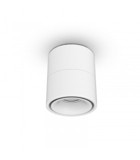 Miidex - 100623 - 3701124430182