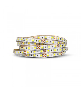 Miidex - 100407 - 3701124432360