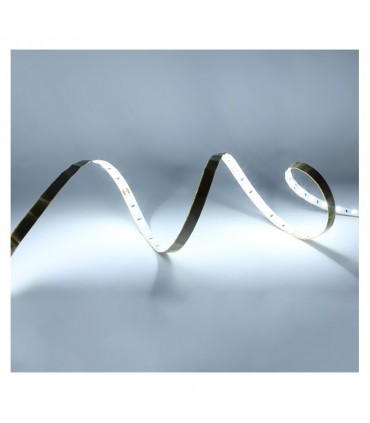 Miidex - 100410 - 3701124432391