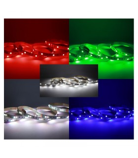 Miidex - 100412 - 3701124432414