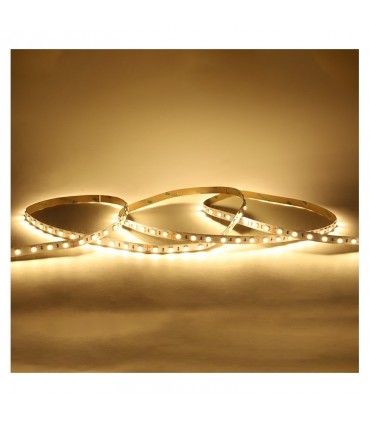 Miidex - 100413 - 3701124432421