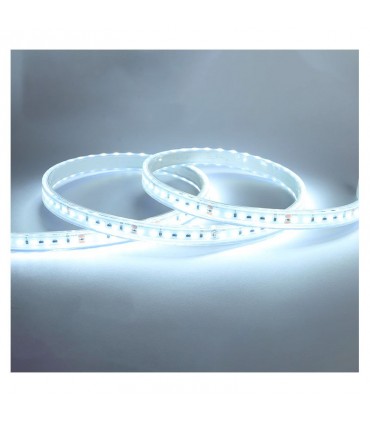 Miidex - 100419 - 3701124432483