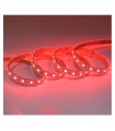 BANDEAU RGB 5M 60LED ET 9W-M IP67 12V TUBE SILICONE