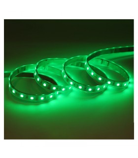 Miidex - 100420 - 3701124432490