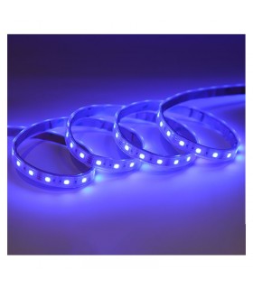 Miidex - 100420 - 3701124432490