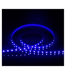 Miidex - 100424 - 3701124432537