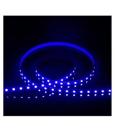 Miidex - 100424 - 3701124432537