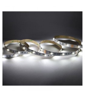 Miidex - 100425 - 3701124432544