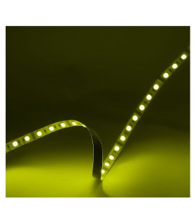 Miidex - 100429 - 3701124432582