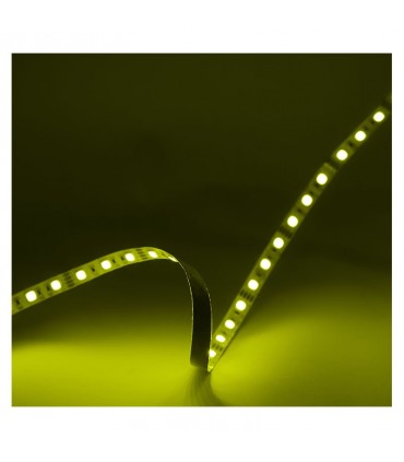 Miidex - 100429 - 3701124432582