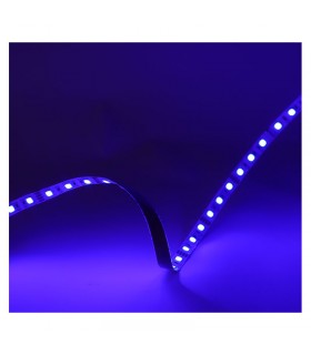 Miidex - 100429 - 3701124432582