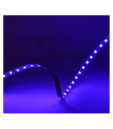 Miidex - 100429 - 3701124432582